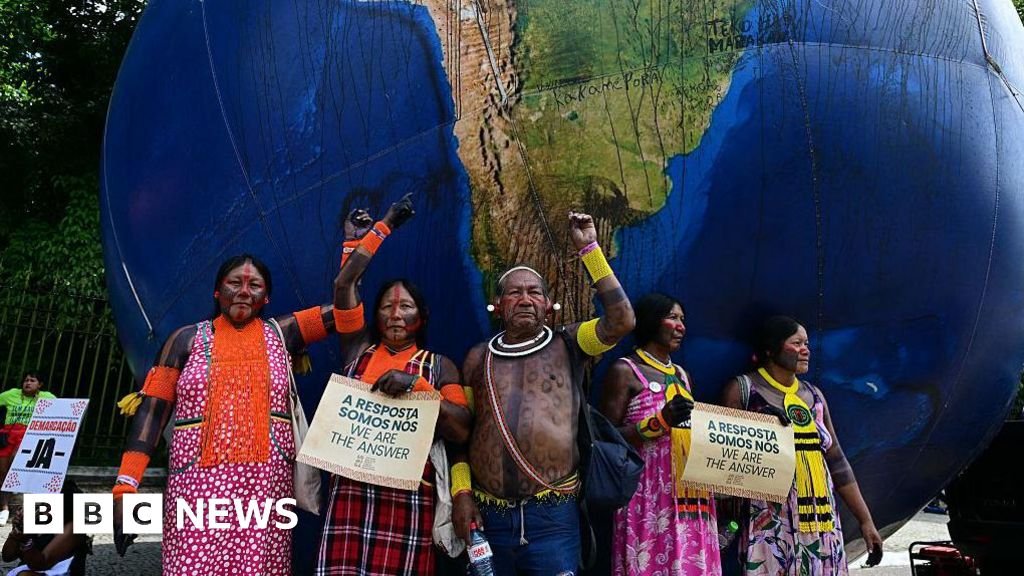 Brazil creates new indigenous territories after COP30 protests
