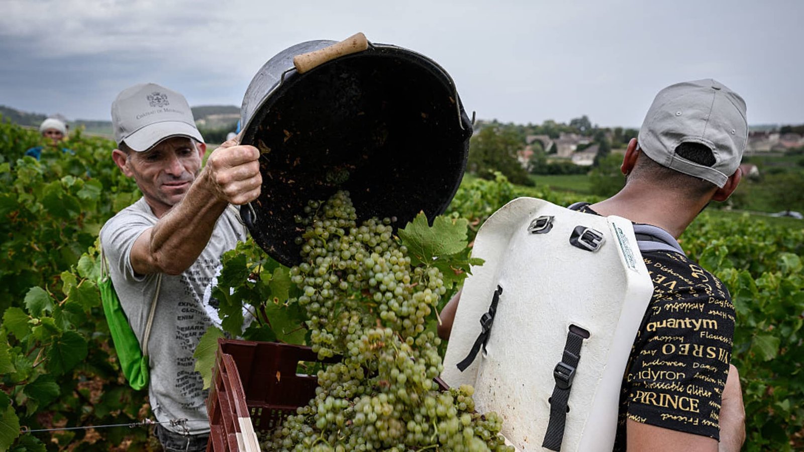 Labor abuses and tariffs cast a shadow over the industry