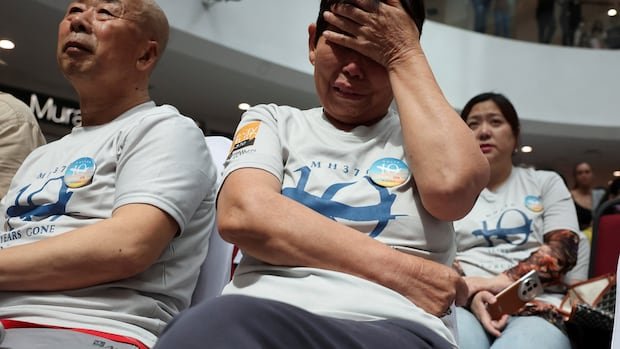 The in-depth search for missing Malaysia Airlines Flight 370 continues