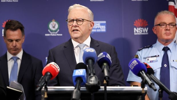 Australian police say the deadly mass shooting at Bondi Beach was inspired by ISIS