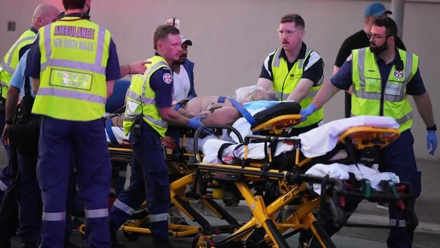 How ISIS can be linked to the deadly Bondi Beach mass shooting