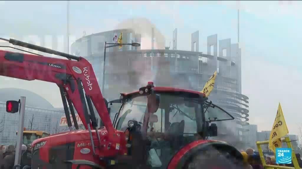 French farmers continue their blockades due to the slaughter of cattle and the agreement with Mercosur