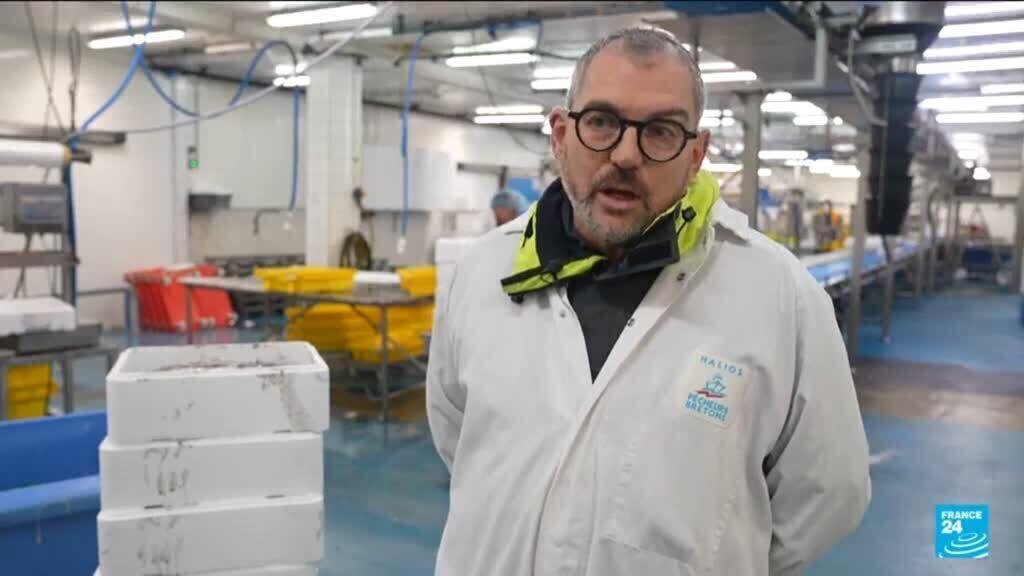 Five years after the UK left the EU market, the impact on French fishermen