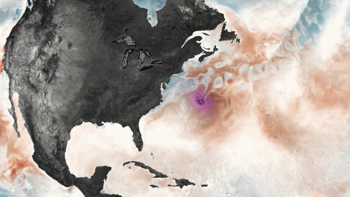 The Surprising Way Hurricanes Pump Carbon Into the Air—and Life into the Ocean