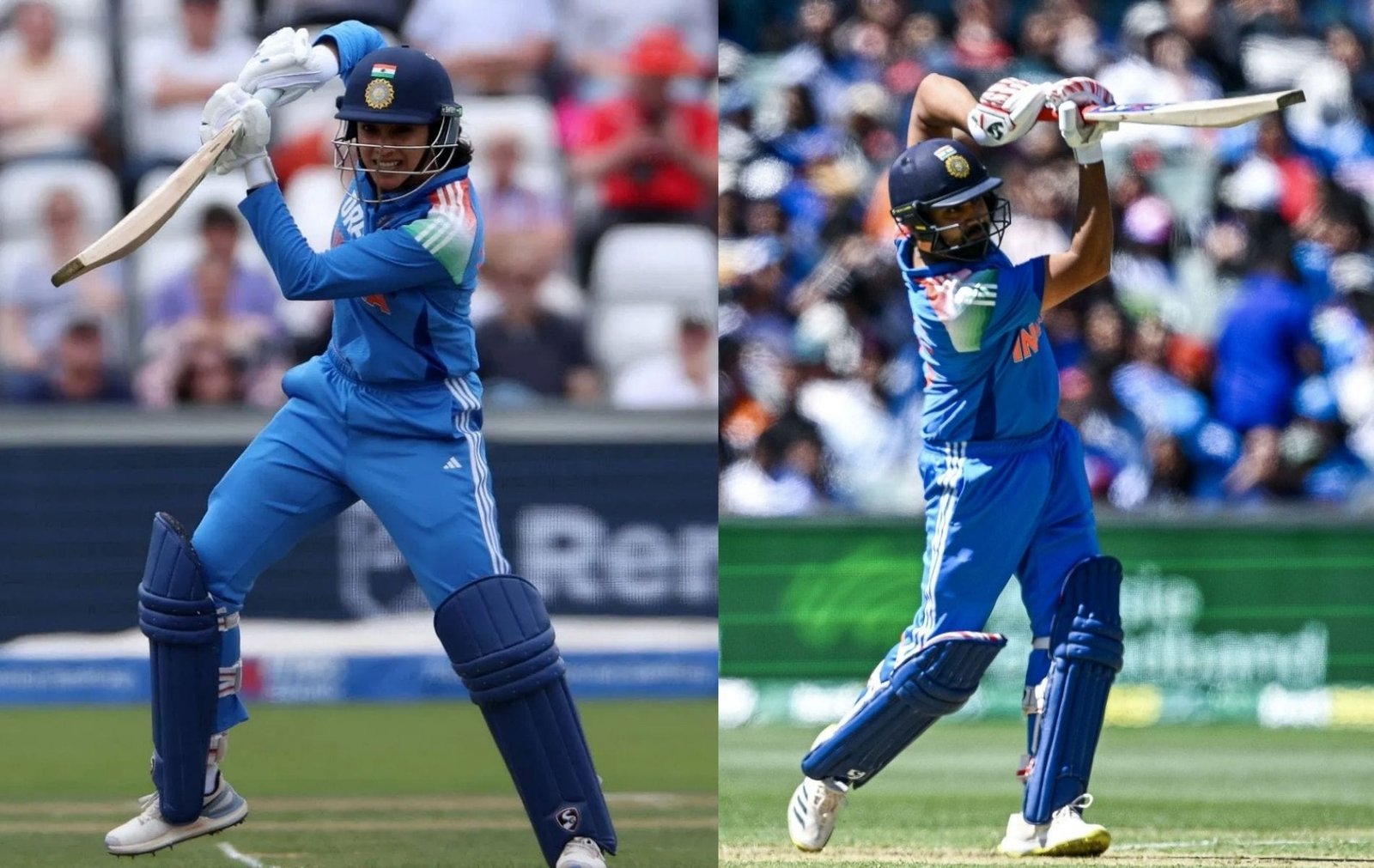 Smriti Mandana vs Rohit Sharma