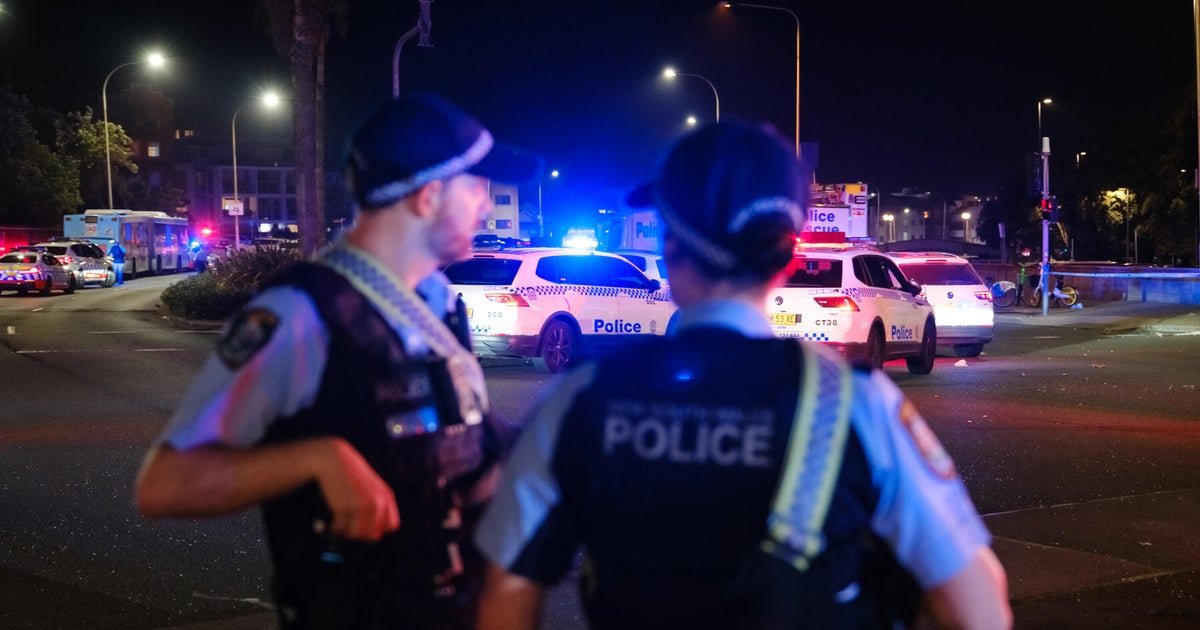 Australian leader says Bondi Beach suspects ‘motivated by Islamic State ideology’ as their history comes to light