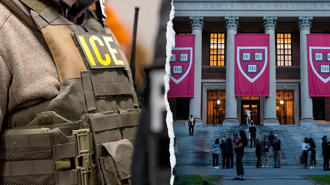 ICE detains Harvard professor accused of BB gun shooting, agrees to leave US