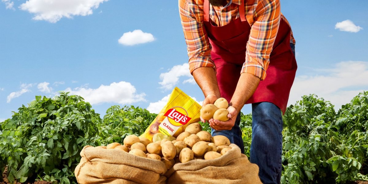 Lay’s rebrands after finding 42% of consumers don’t know their chips are made from potatoes