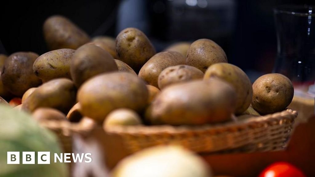 Chips, anyone? German farm gives away millions of potatoes after harvest