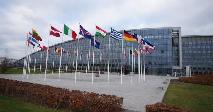 Why an American attack on Greenland would mean the ‘end’ of NATO – National