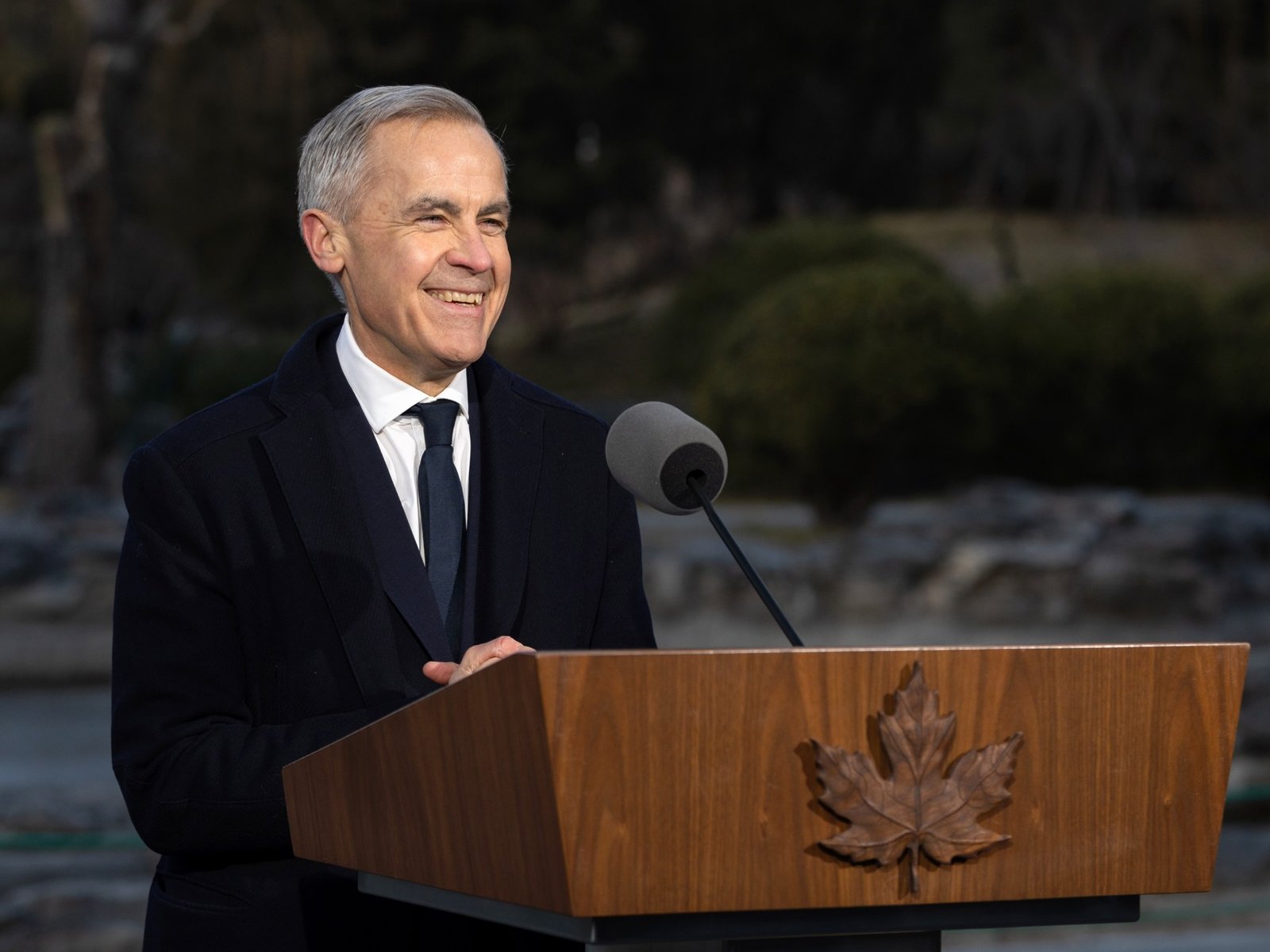 Canada’s Carney praises new trade deal, ‘hopes’ US respects sovereignty Donald Trump News