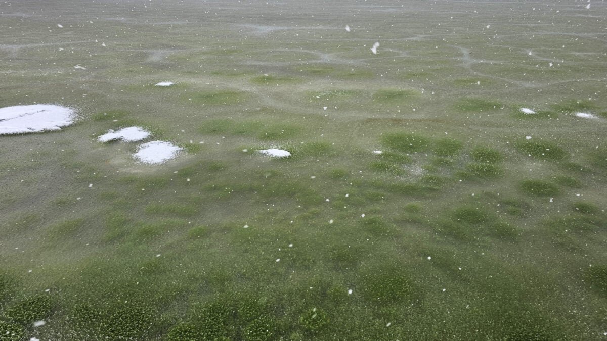 Whoa, Why Is This Frozen Lake Green?