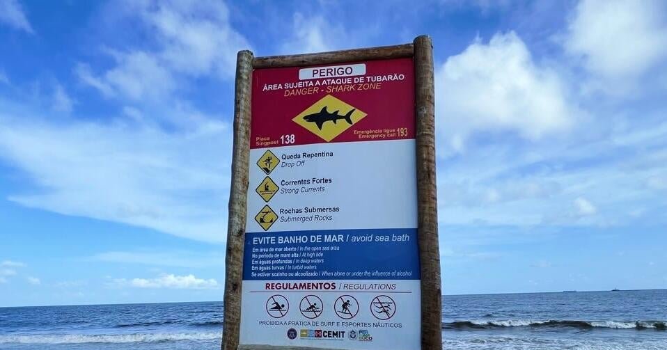 A shark killed a 13-year-old boy on a popular beach in Brazil: “It ate almost his entire leg”
