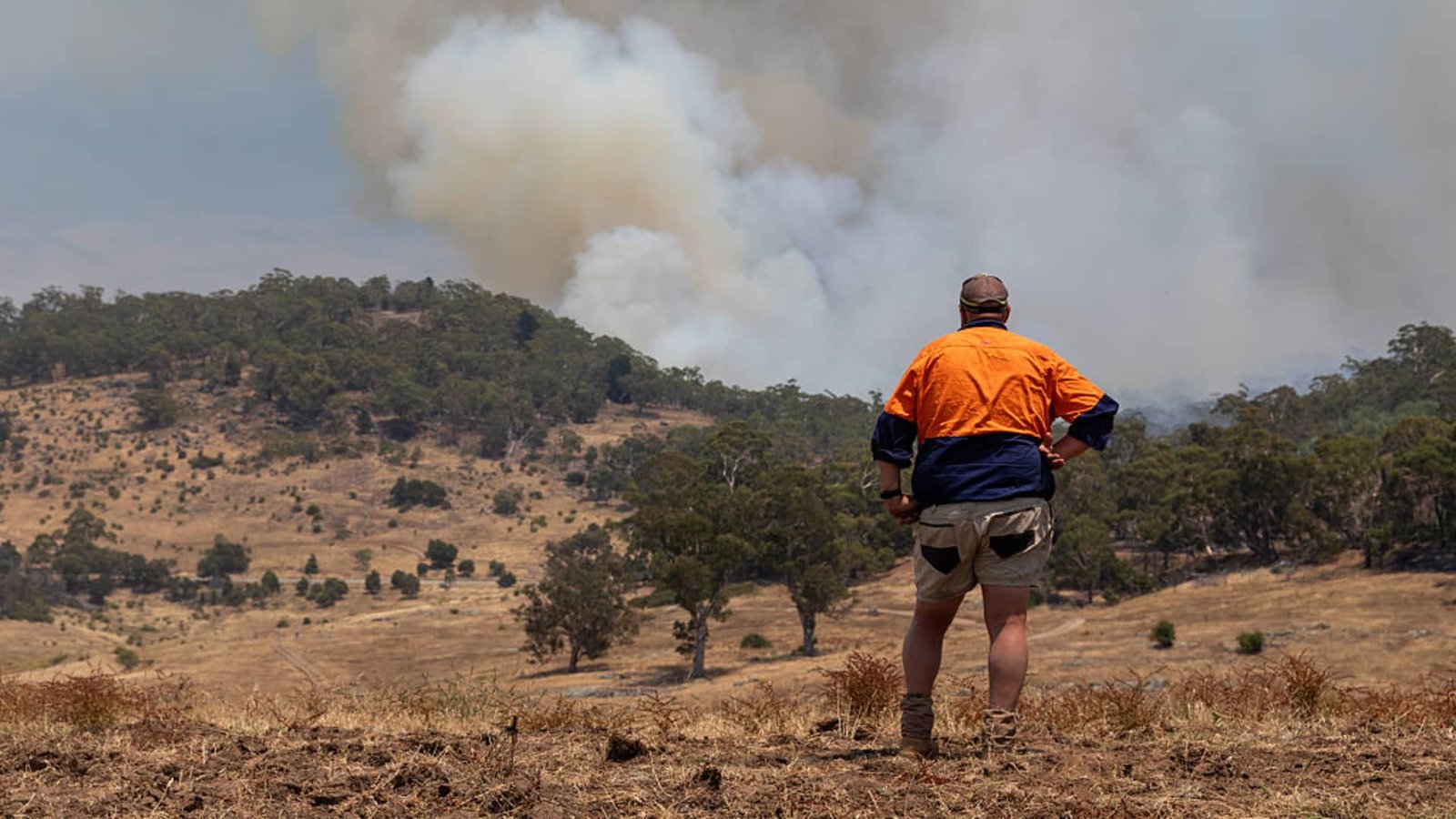 Why the catastrophe bond market is so hot right now