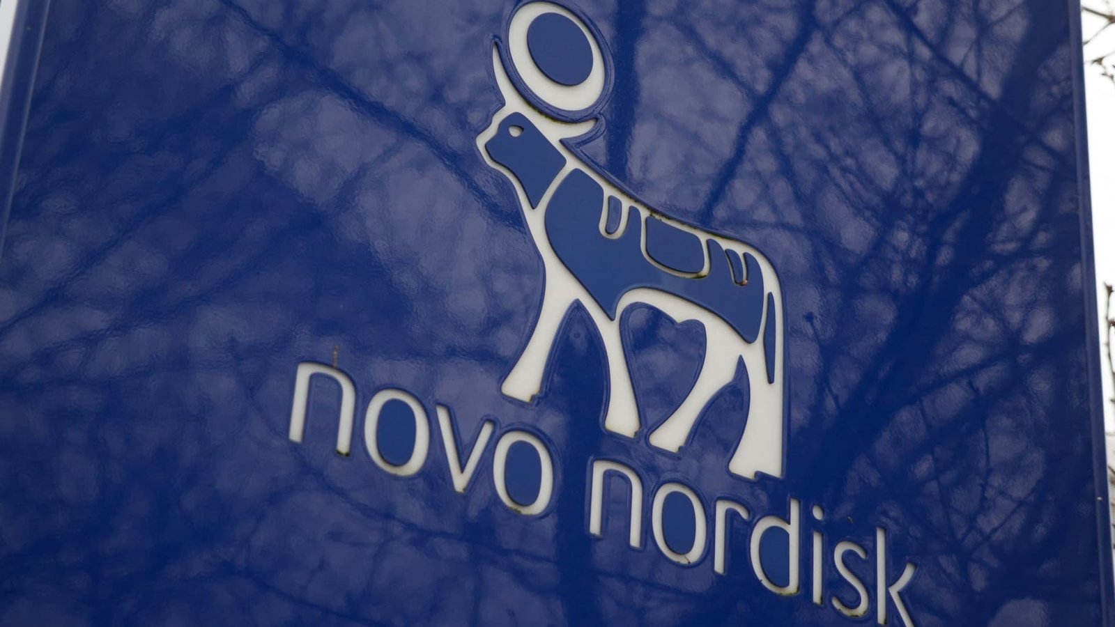 Novo Nordisk sues Hims & Hers over compounded obesity drug