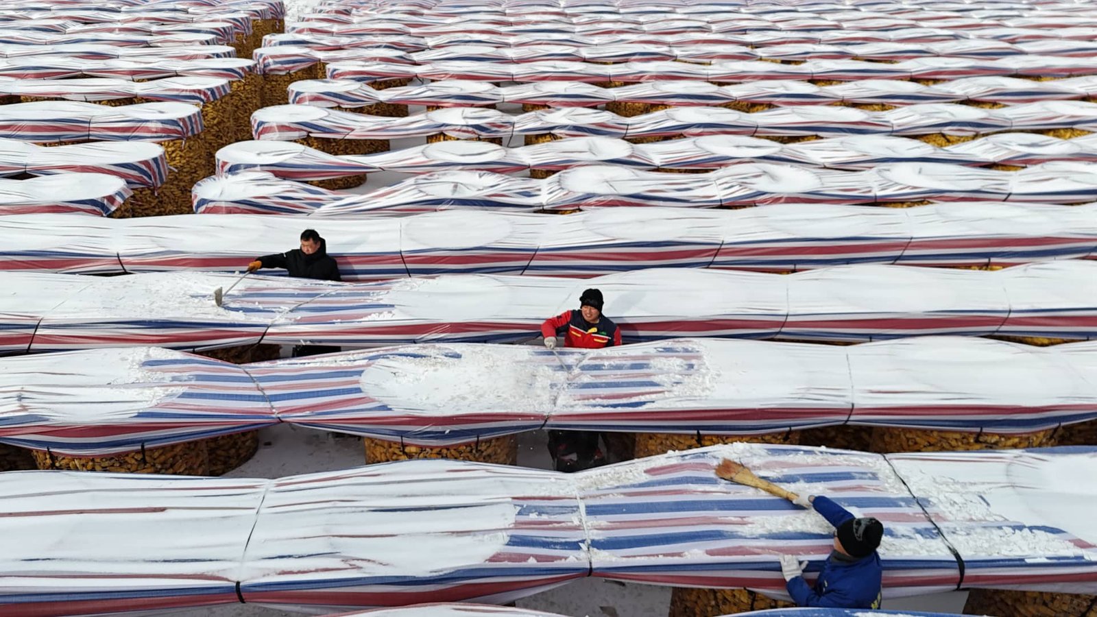 How can China feed 1.4 billion people without American crops?