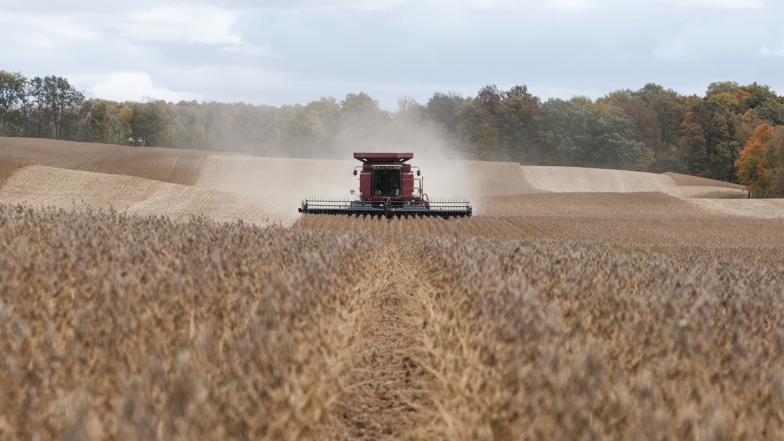 U.S. state tariff bills hit $200 billion