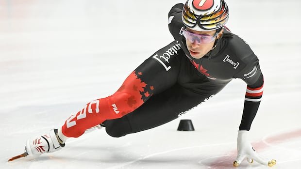 Do you need help after the Olympics? Our newsletter has you covered