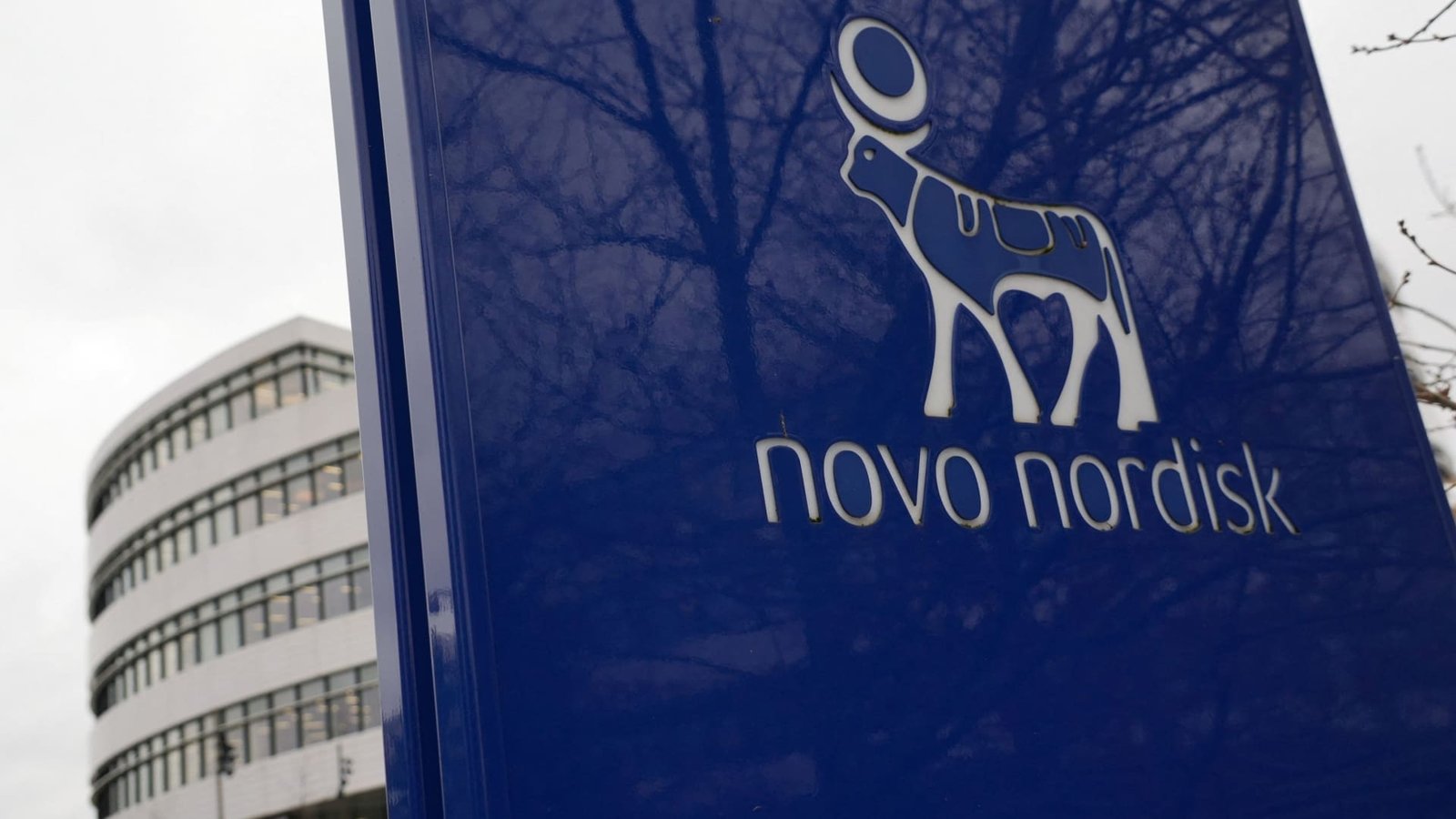 Novo Nordisk shares rise; Hims & Hers launches copycat diet pill