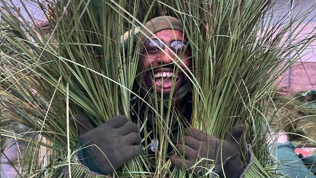 What it was like to be a weed on Bad Bunny’s Super Bowl ‘field of dreams’