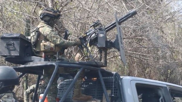 Employees of a Canadian mining company were working near gunfire, a Mexican cartel checkpoint, a family member says