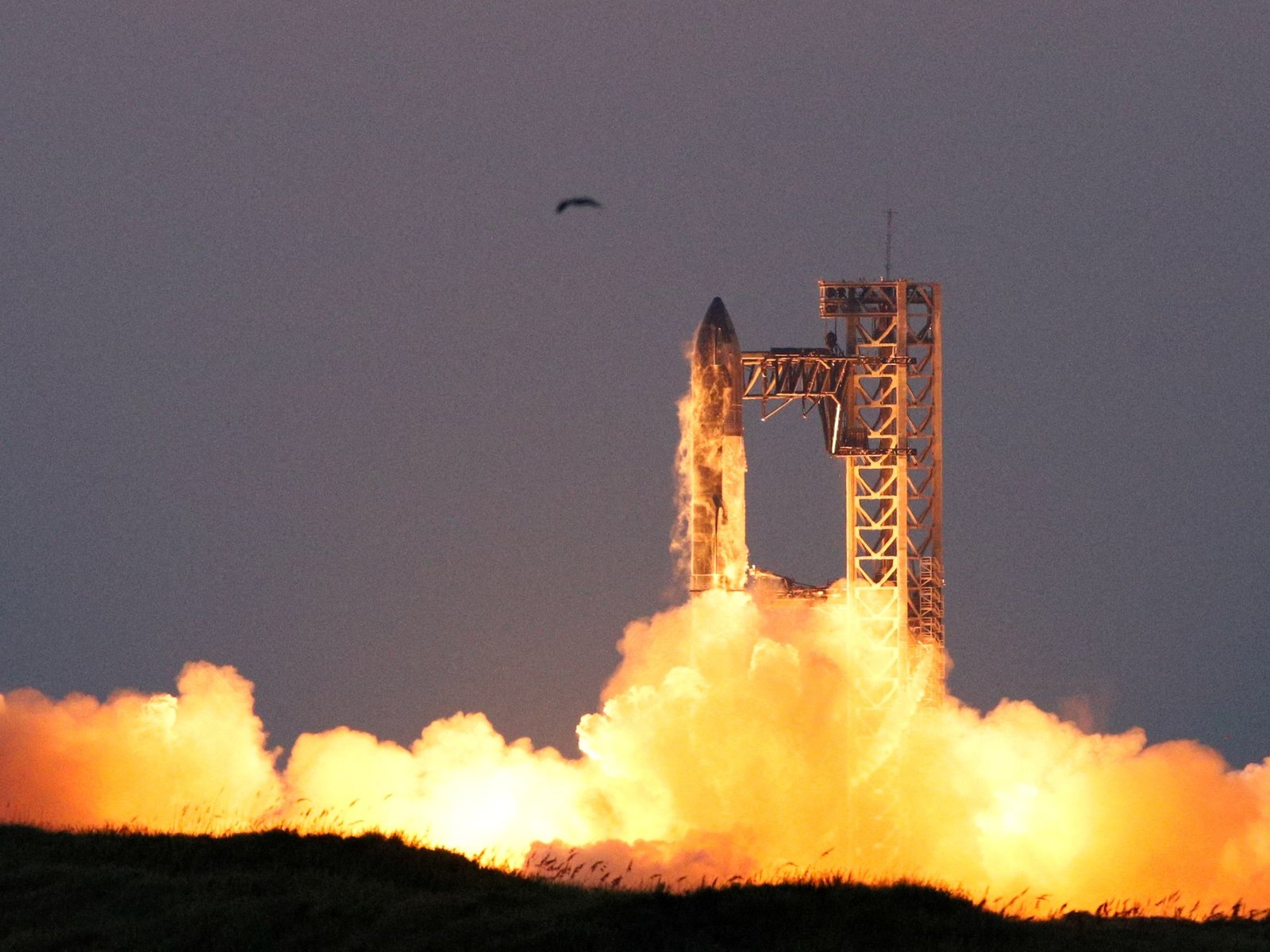 Musk merges SpaceX and xAI companies to build space artificial intelligence data center Elon Musk News