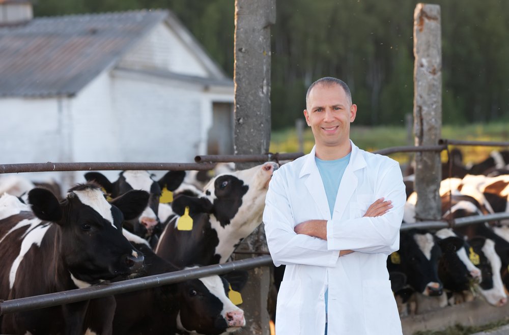 Zoetis Inc. ( ZTS ) sees mixed sentiment from analysts as targets are cut