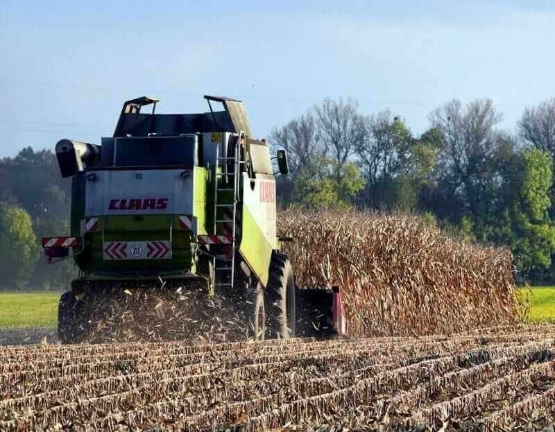 Corn posts Tuesday’s early trade gains