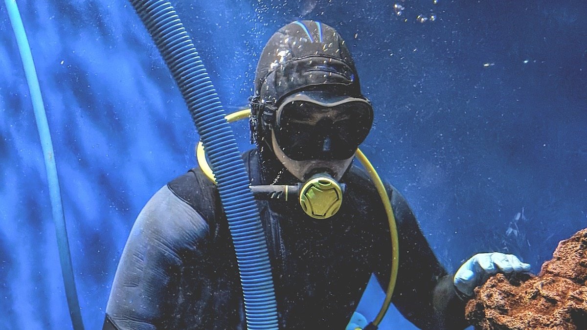 Think your job is weird? These Races Rewrite “Unusual”