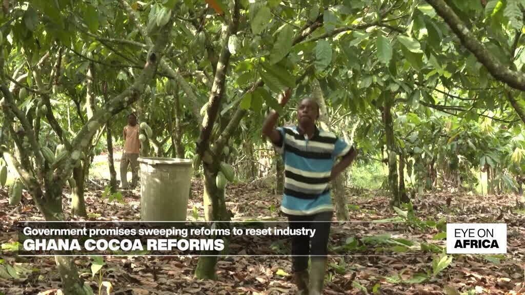 A Nigerian court sentenced two Chinese citizens to 46 years in prison