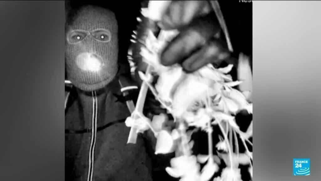 Suspect arrested in kidnapping of Nancy Guthrie after video released of armed man