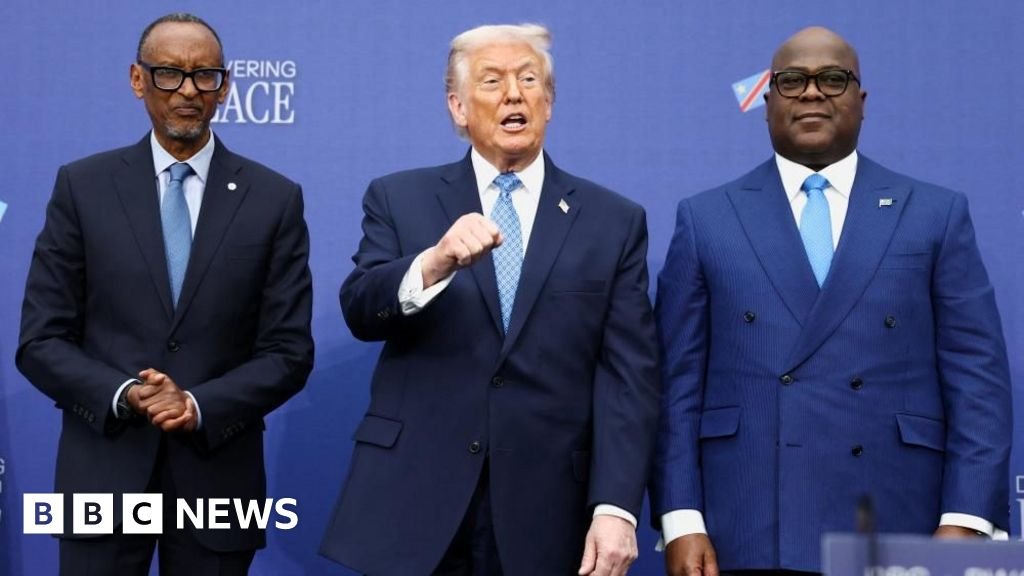 Seat at the table or on the menu? Africa grapples with new world order