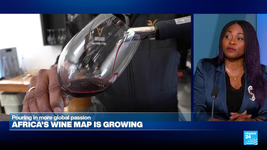 AFRICA: Wined Up – Continent uncorked.