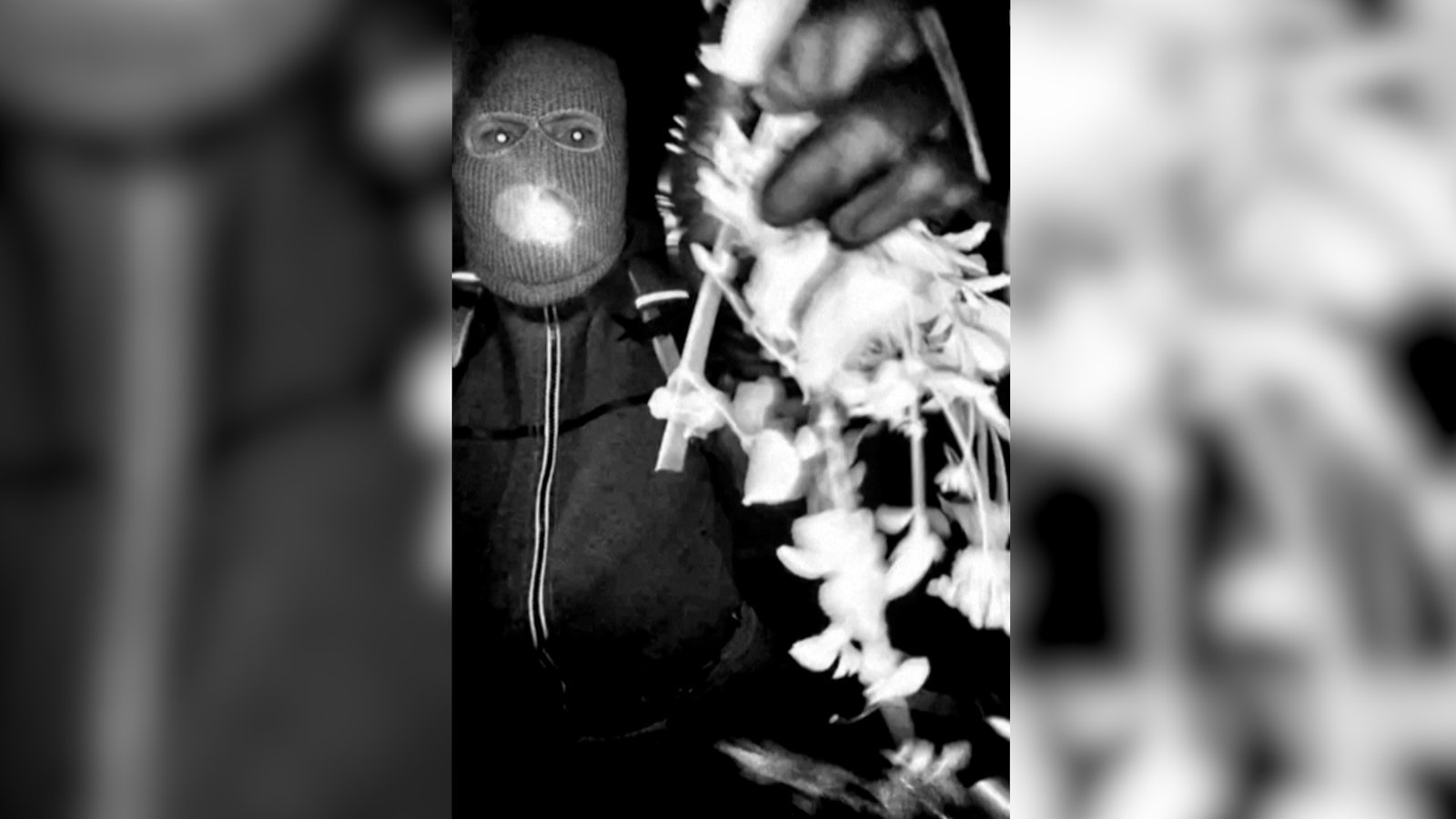 FBI releases photo of suspect in Guthrie kidnapping news source