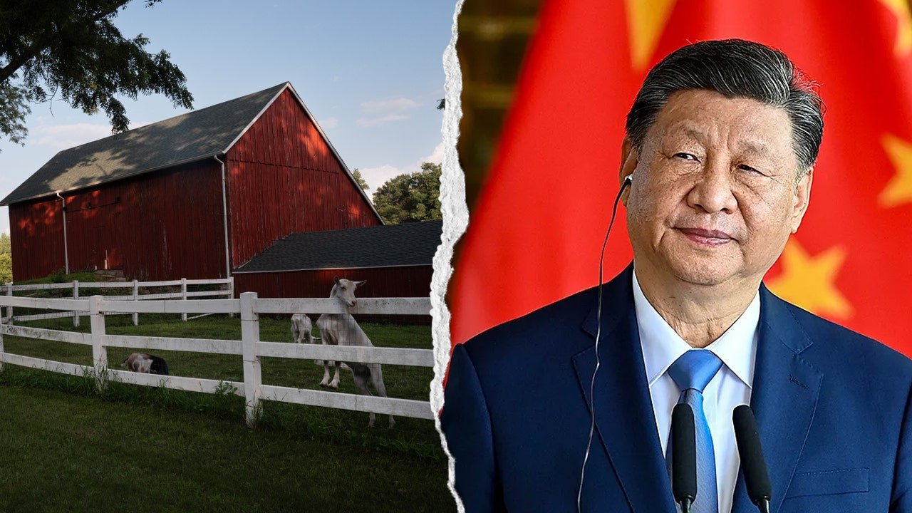 Lawmakers demand answers from FFA on ties to Chinese Communist Party