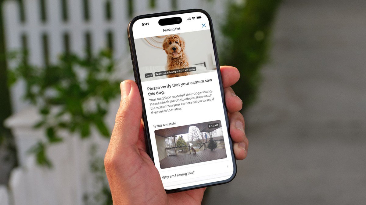 Ring brings ‘Search Party’ feature for finding lost dogs to non-Ring camera owners