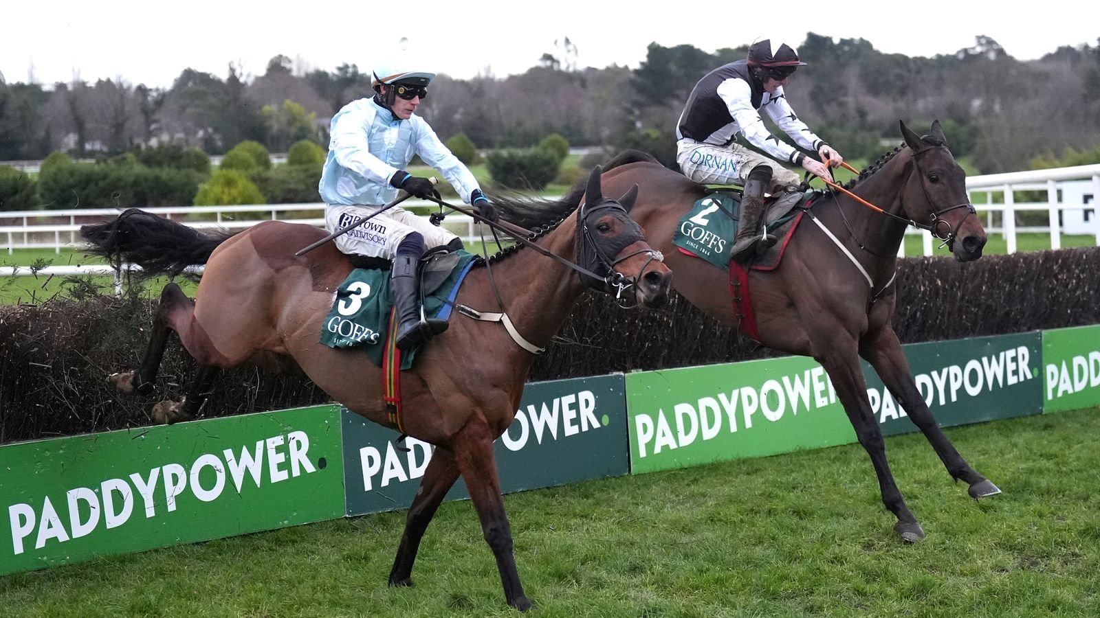 Dublin Racing Festival: Romeo Coolio denies Kargese win in Irish Arkle at Leopardstown | Racing News