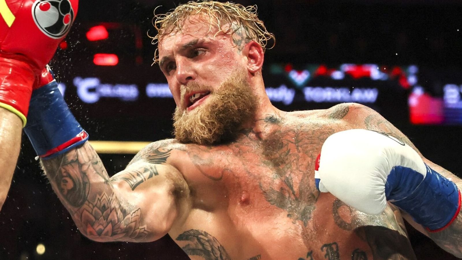 Jake Paul may target Tommy Fury’s next rematch in the UK as he recovers from a broken jaw suffered during his fight with Anthony Joshua. boxing news