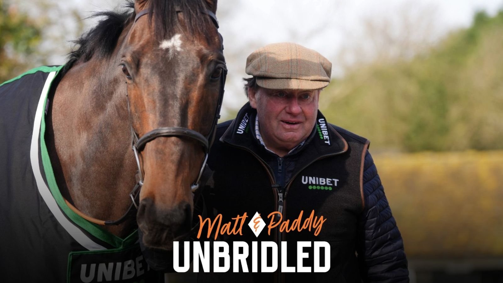 Cheltenham Festival: Matt Chapman says Nicky Henderson should release Constitution Hill school education video | Horse Racing News