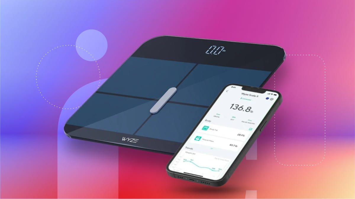 The Best Expert-Recommended Smart Scales for the Most Accurate Results