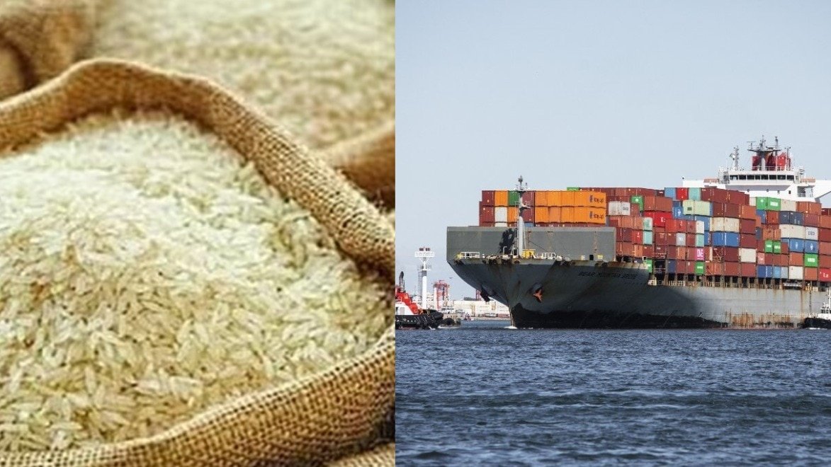 400,000 tonnes stuck in transit: Iran conflict disrupts India’s basmati exports